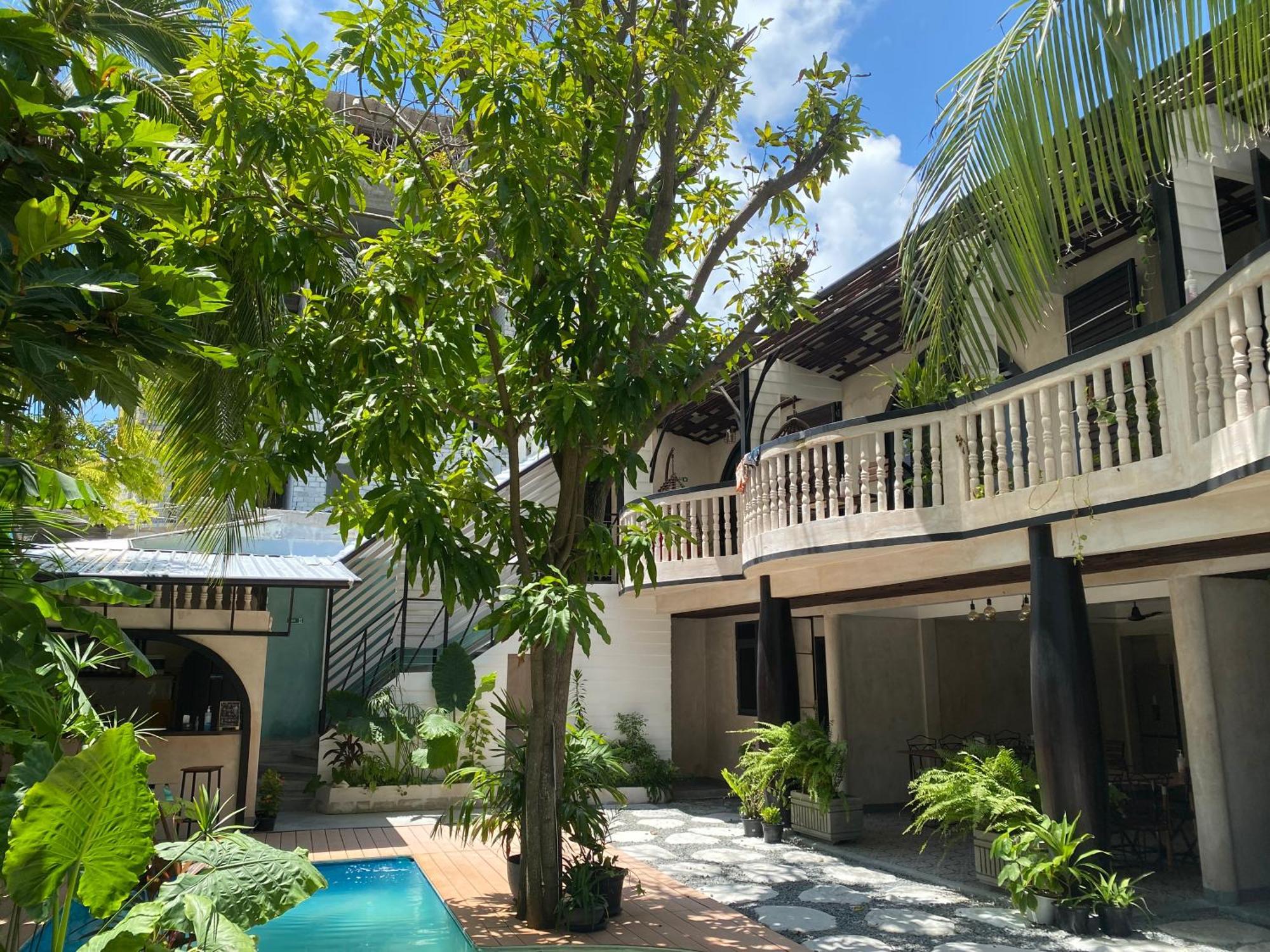 Zinnia Maafushi - Inclusive Airport Roundtrip - Snorkeling - Picnic - Sandbank For 2 Adults With Min 4-Nights Stay - Applicable For Bookings Made From 1St June 2025 Stay Period Till 31St Oct 2025 Exterior foto